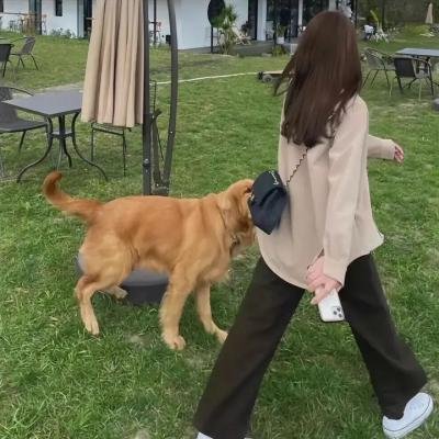 爱的遗产